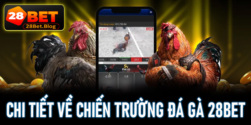 Giới thiệu chi tiết về chiến trường cá cược đá gà 28Bet