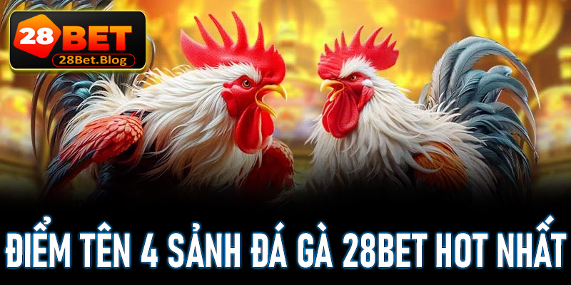 Điểm tên 4 phòng cá cược đá gà 28Bet hấp dẫn nhất hiện nay 