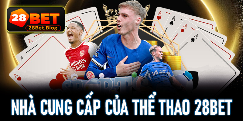 Danh sách các nhà cung cấp cho thể thao 28Bet đang cực hot 